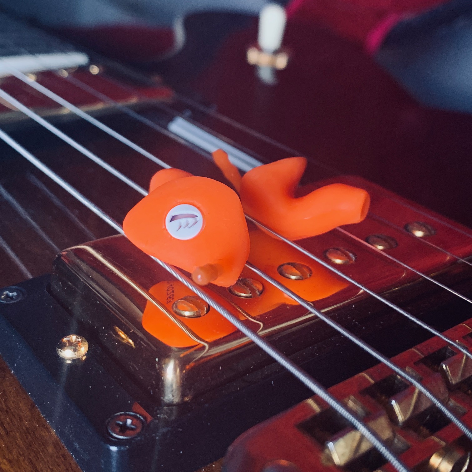 Single Use Earplugs: Are You Wearing Them Wrong? - l51mypo